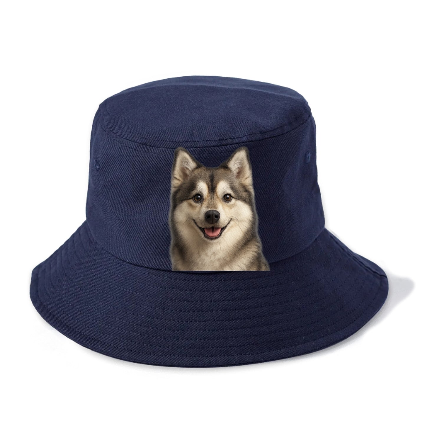 pomsky portrait design Hat