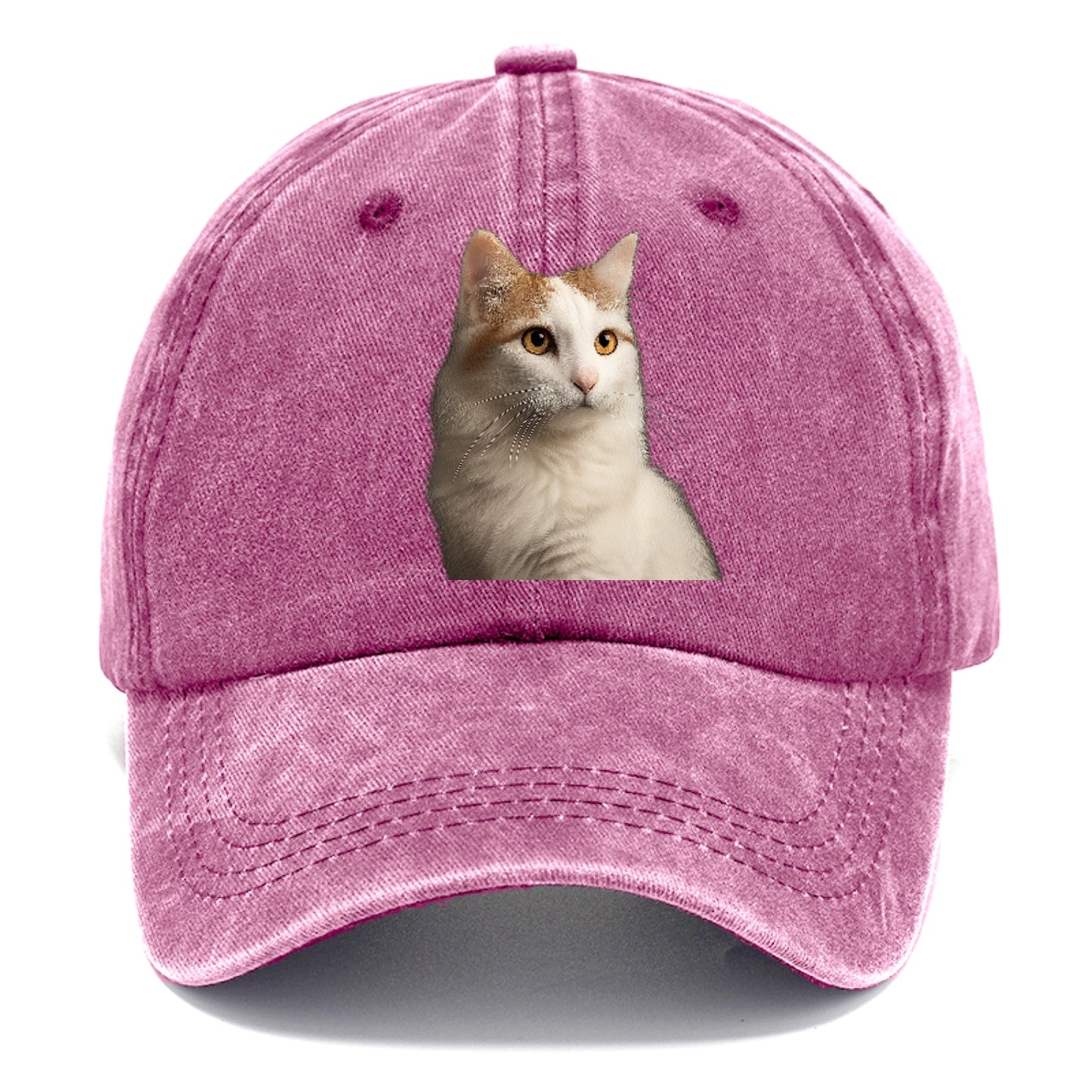 turkish-van-aquatic-elegance Hat