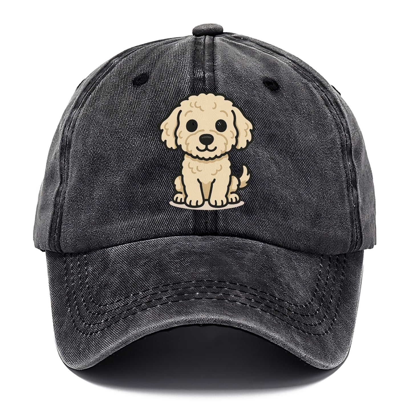 labradoodle curly cream sitting pose portrait design Hat