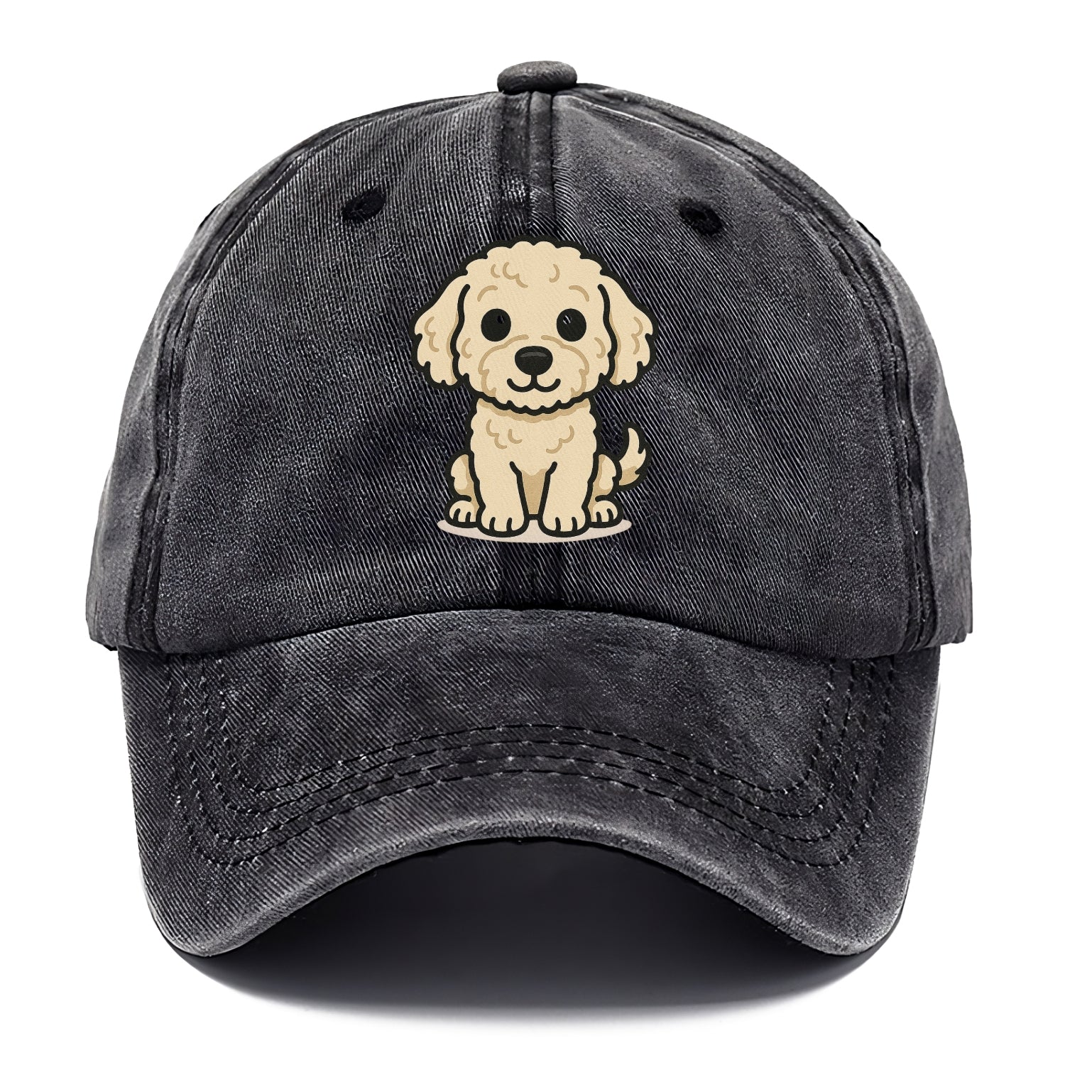labradoodle curly cream sitting pose portrait design Hat