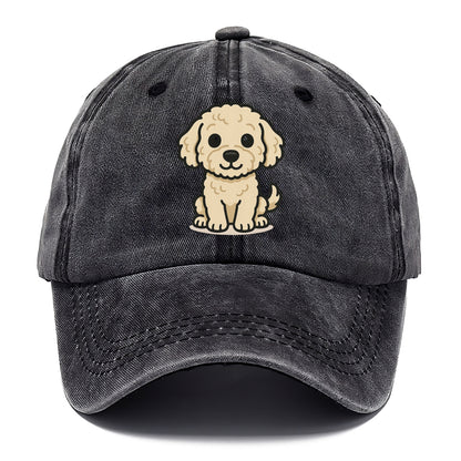 labradoodle curly cream sitting pose portrait design Hat