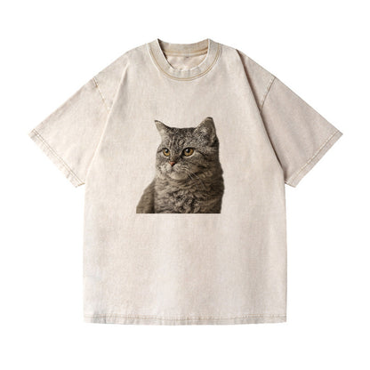 lambkin-gentle-spirit Hat