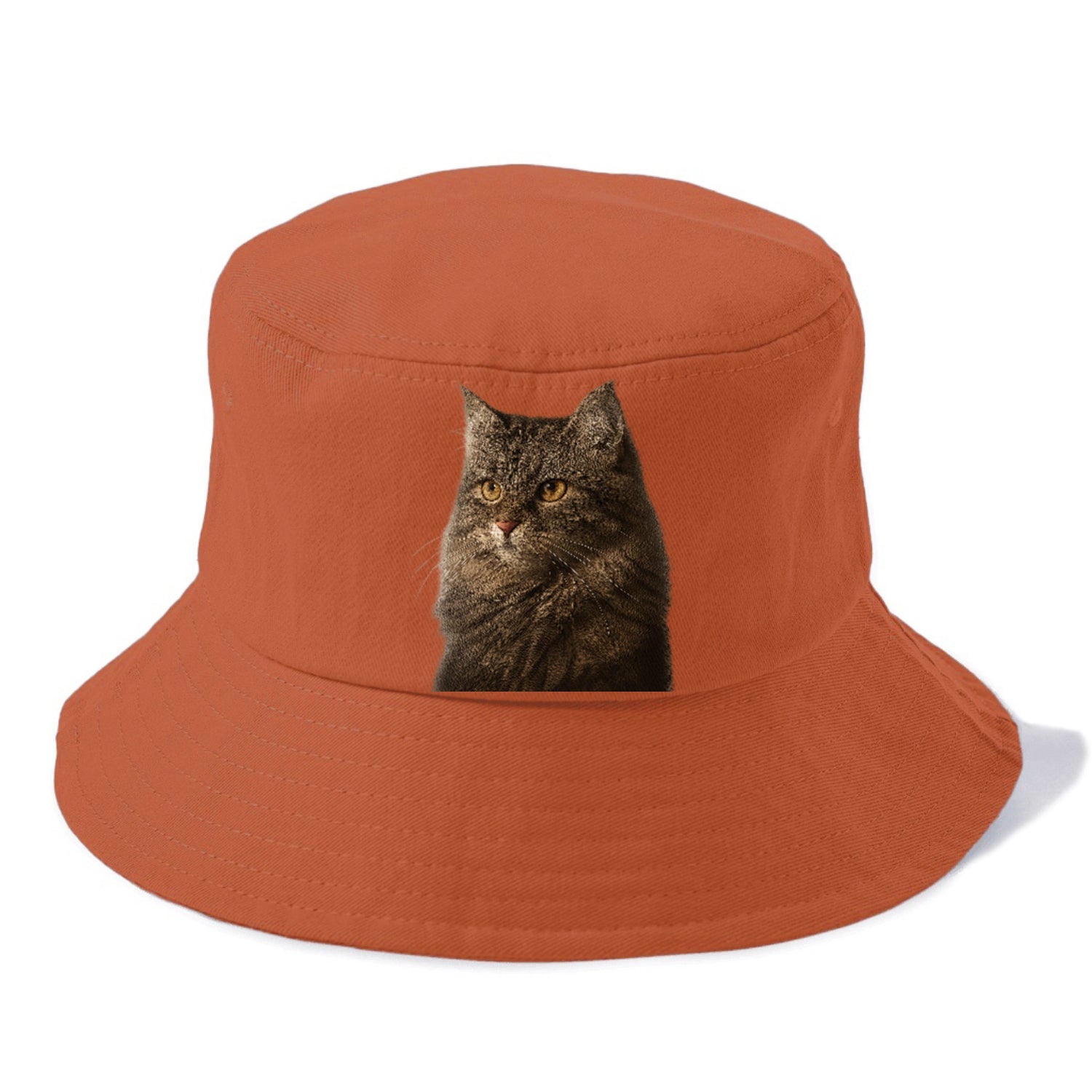 domestic-longhair-graceful-charm Hat