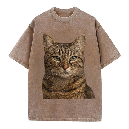 content-cat-curious-charm Hat