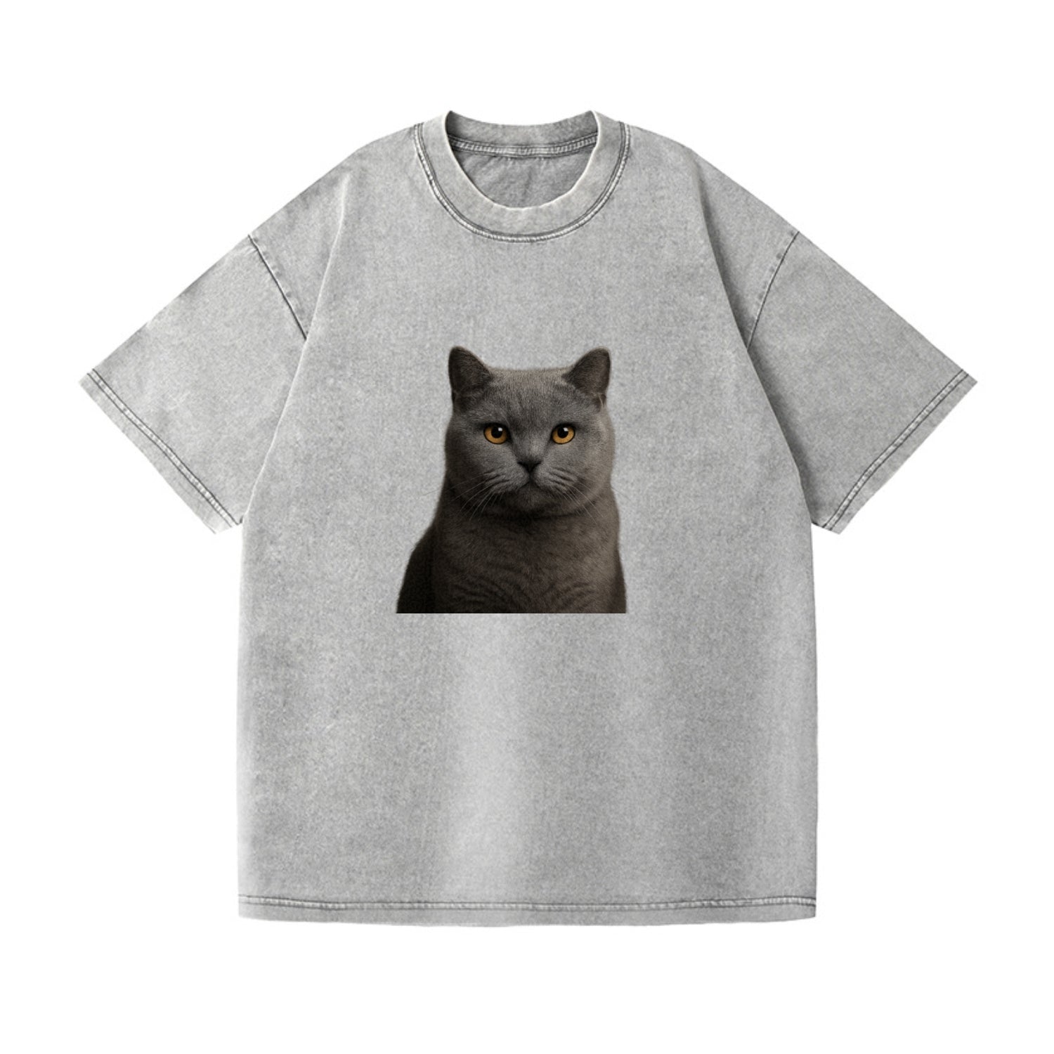 british shorthair dignified charm Hat