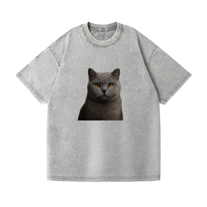 british shorthair dignified charm Hat