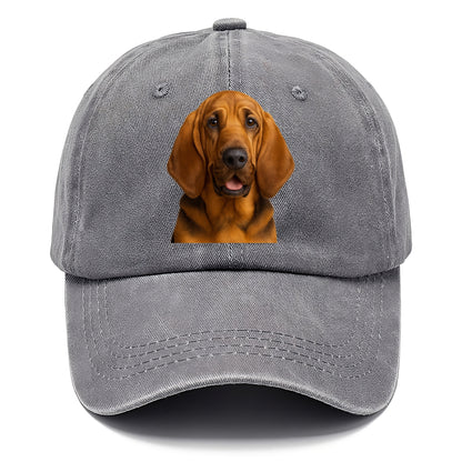 bloodhound portrait design Hat