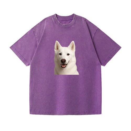 Husky Arctic Adventure Vintage T-shirt