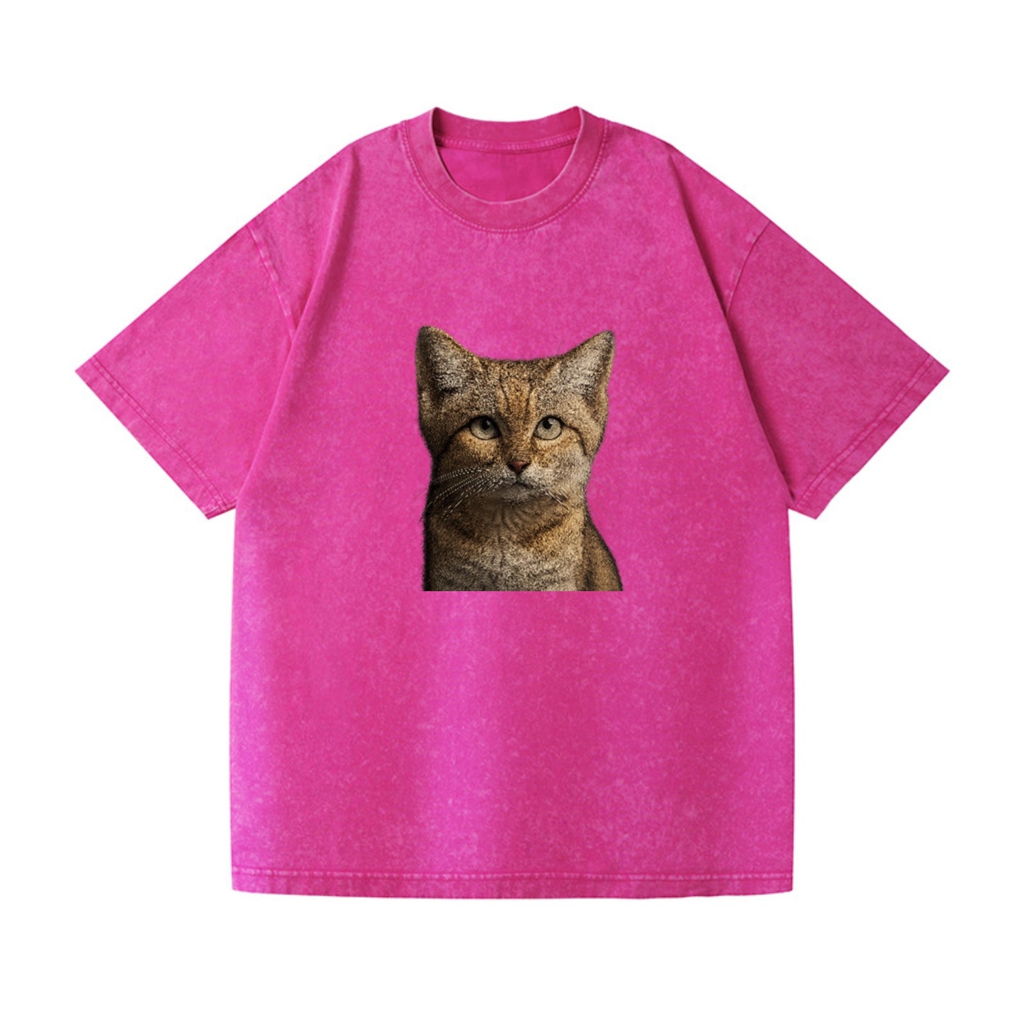 sand-cat-desert-spirit Hat