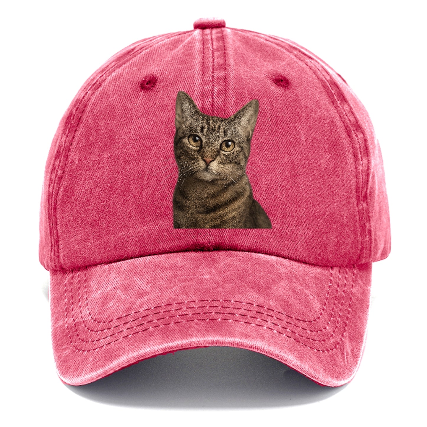 curious-cat-inquisitive-nature Hat