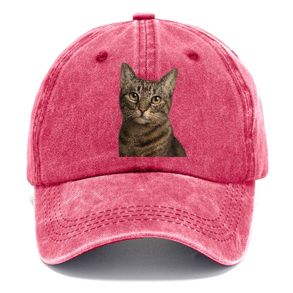 curious-cat-inquisitive-nature Hat