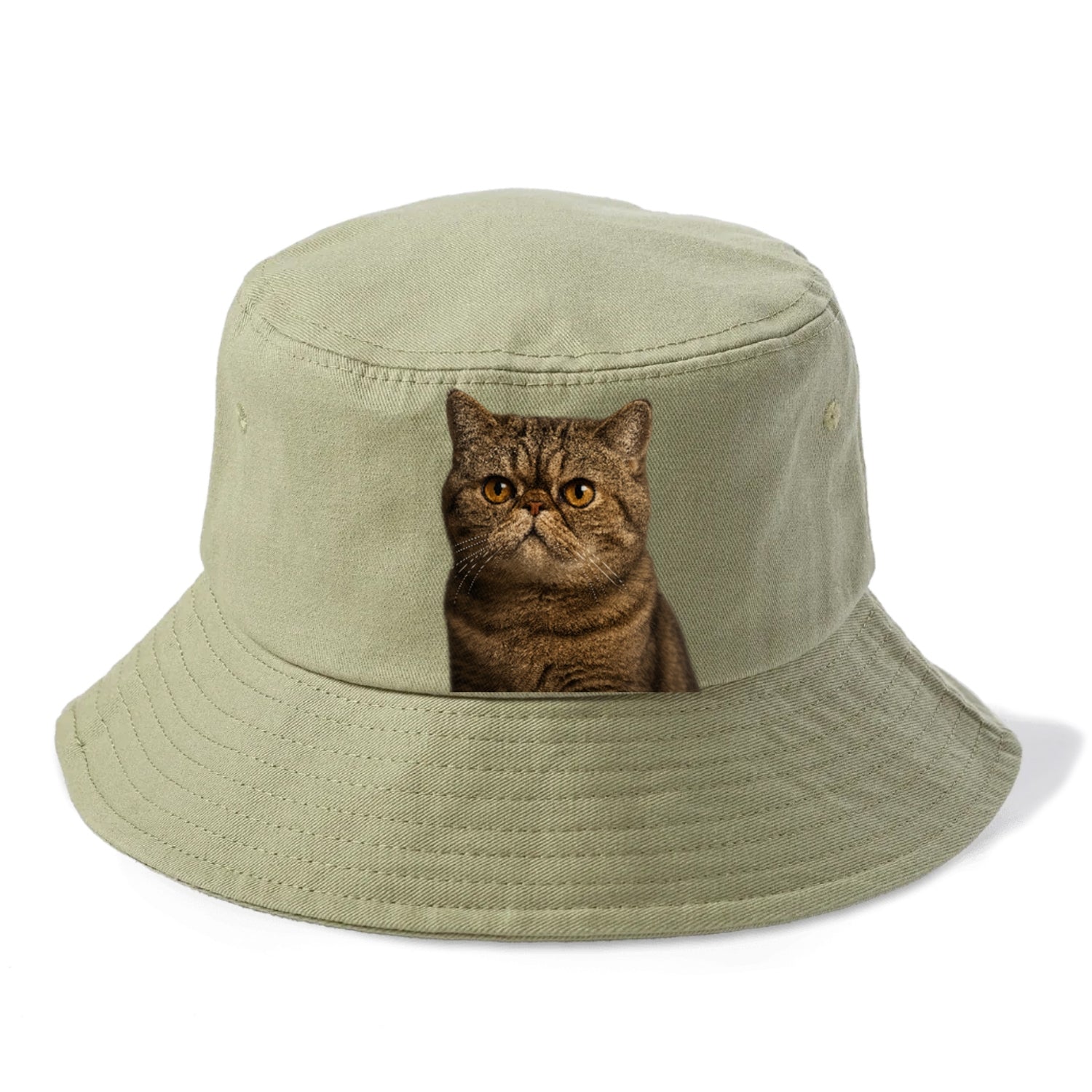 exotic-shorthair-charm Hat