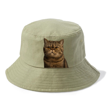 exotic-shorthair-charm Hat