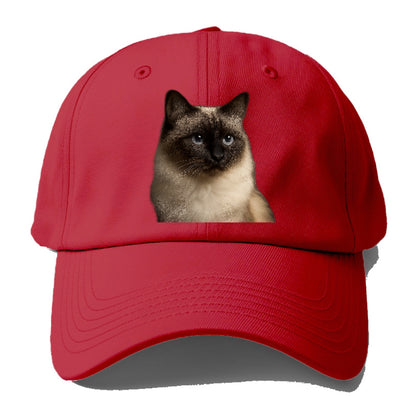 birman-cat-serene-elegance Hat