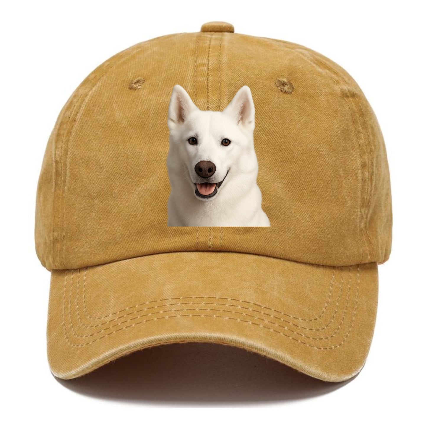 husky arctic adventure Hat