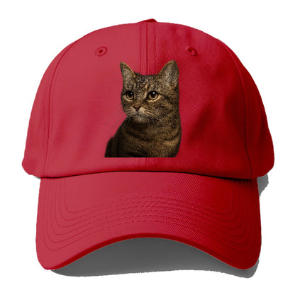 munchkin-cat-charming-spirit Hat