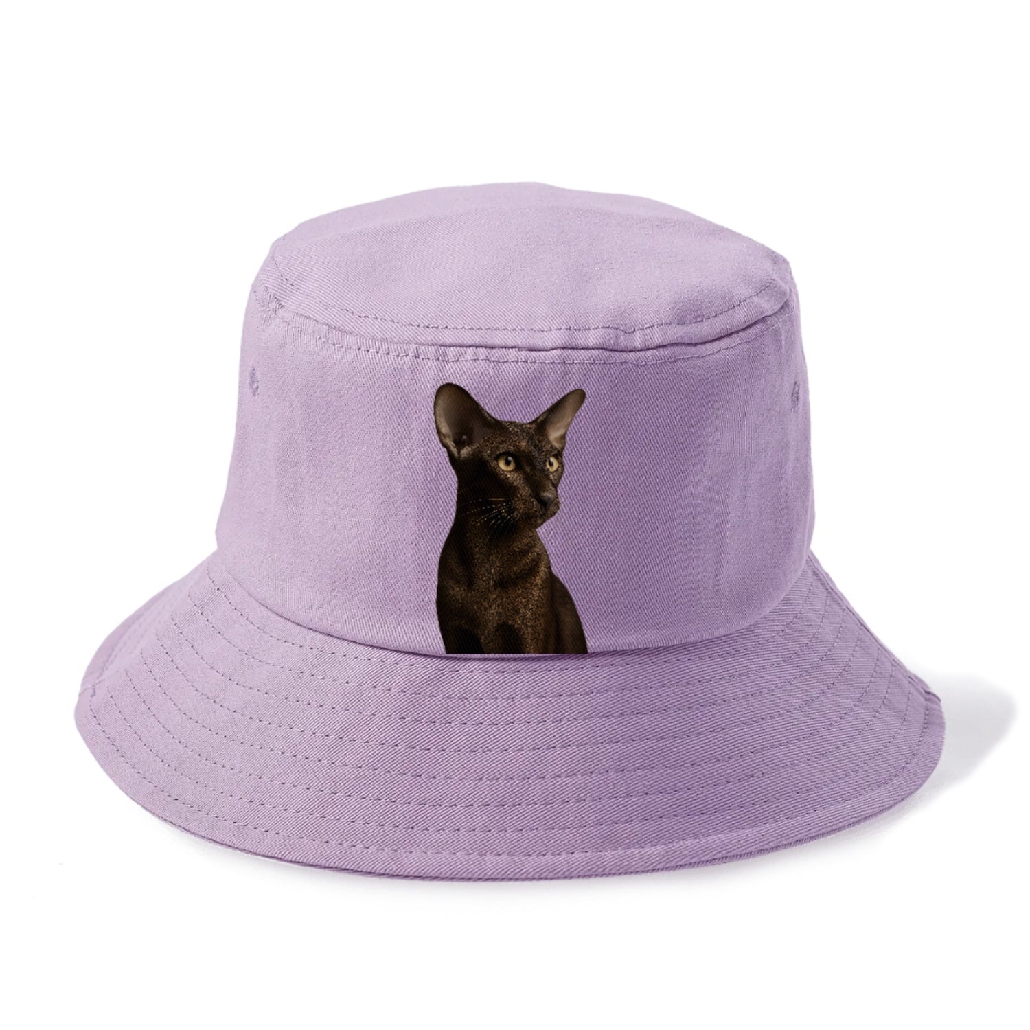 oriental-shorthair-sleek-chic Hat