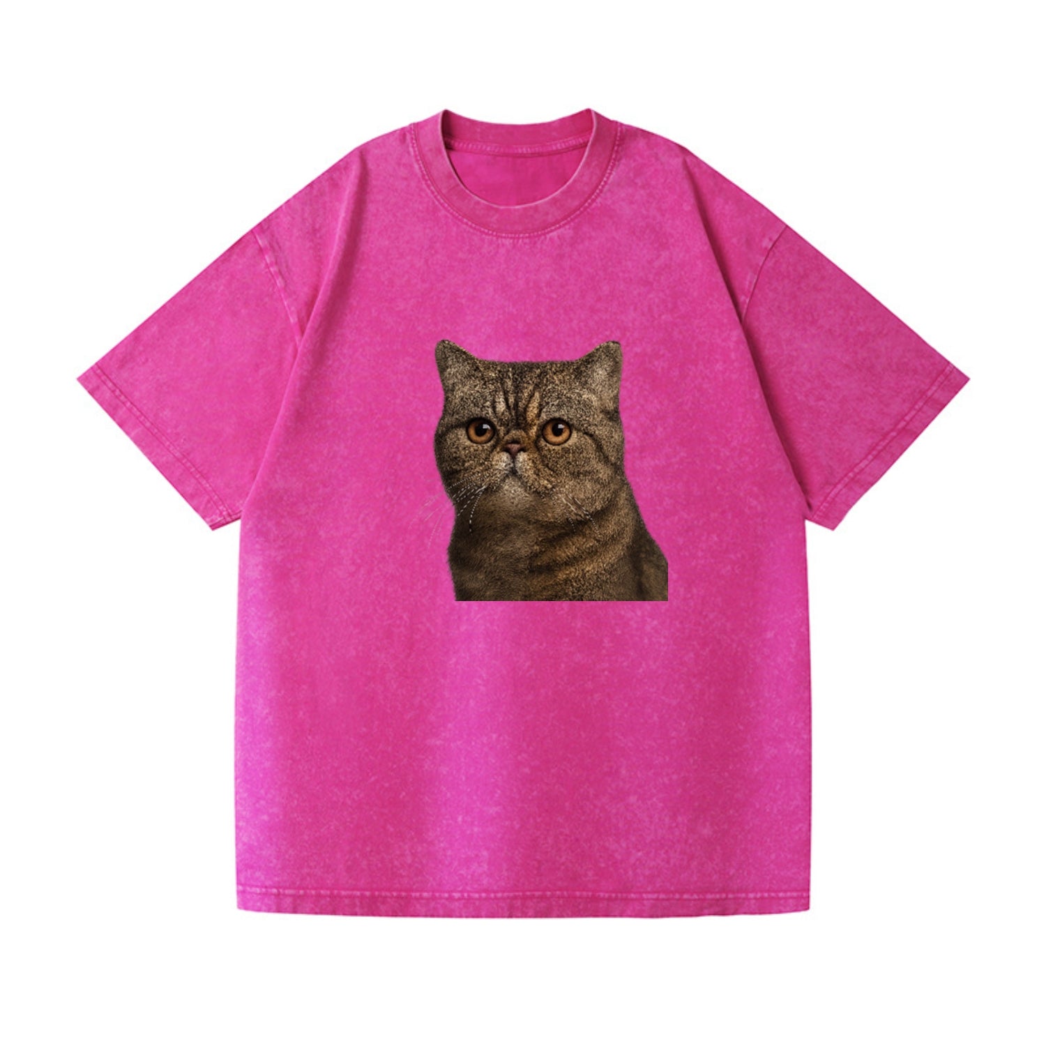 exotic-shorthair-calm-demeanor Hat