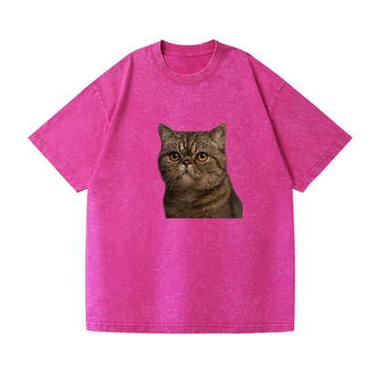 exotic-shorthair-calm-demeanor Hat