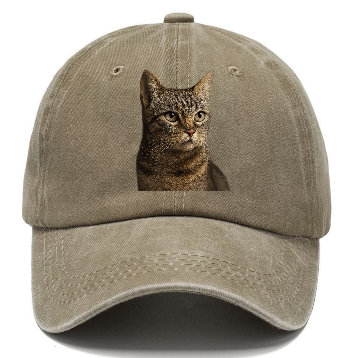 stray-cat-resilient-spirit Hat