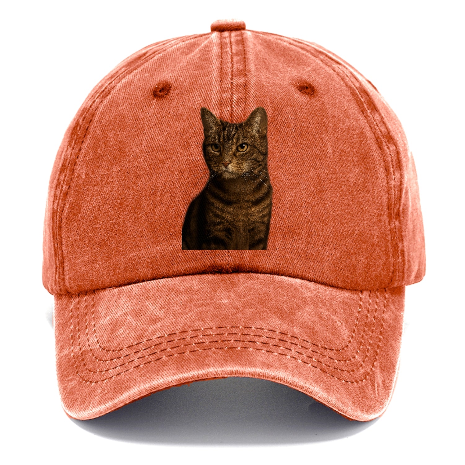 brown-tabby-cozy-charm Hat