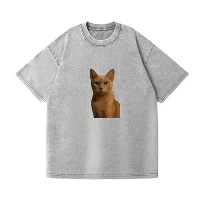 fawn-cat-playful-spirit Hat