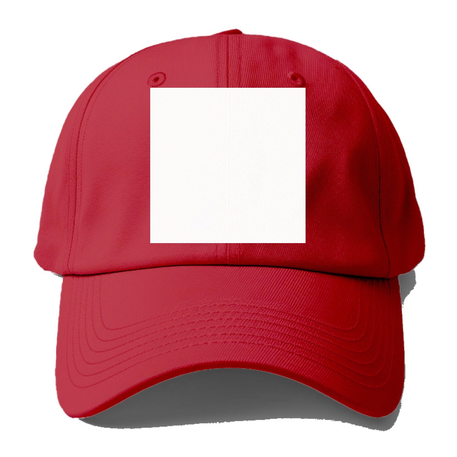 napping with dog Hat