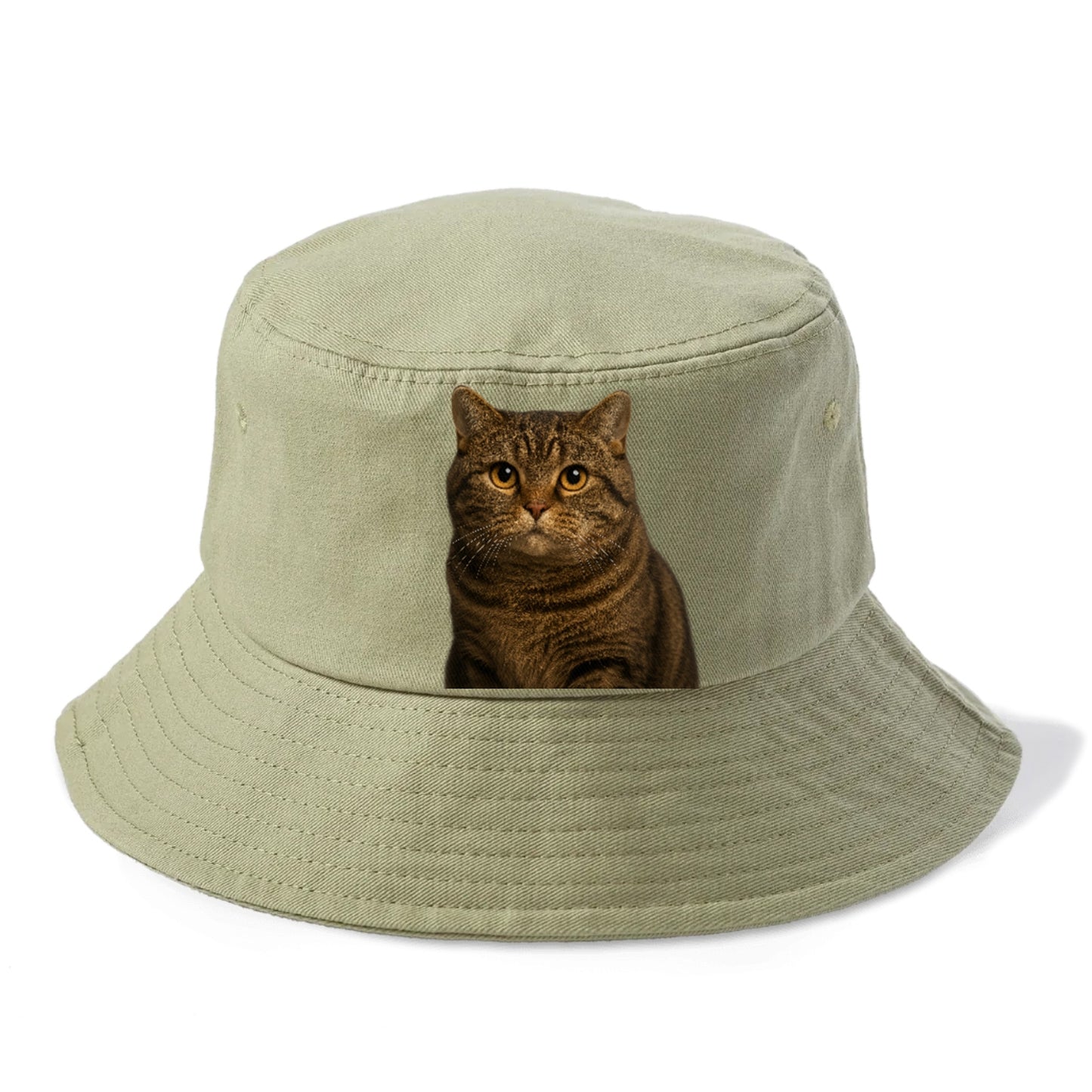 manx-cat-distinct-charm Hat