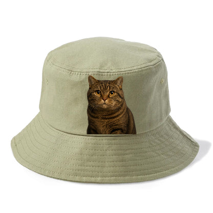 manx-cat-distinct-charm Hat