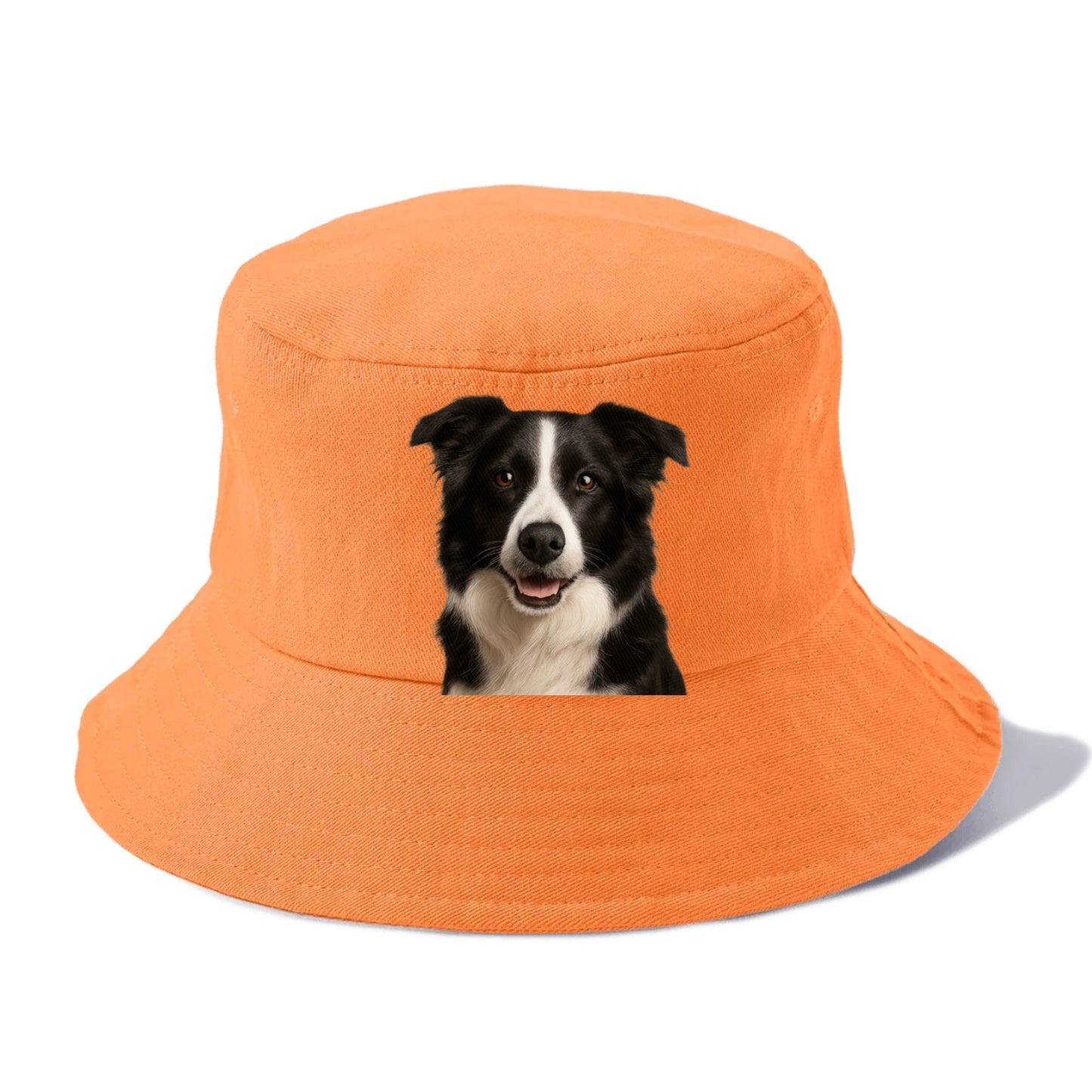 border collie: agile mind, loyal heart Hat