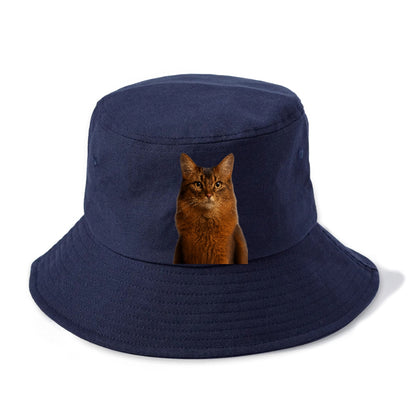 somali-cat-agile-grace Hat