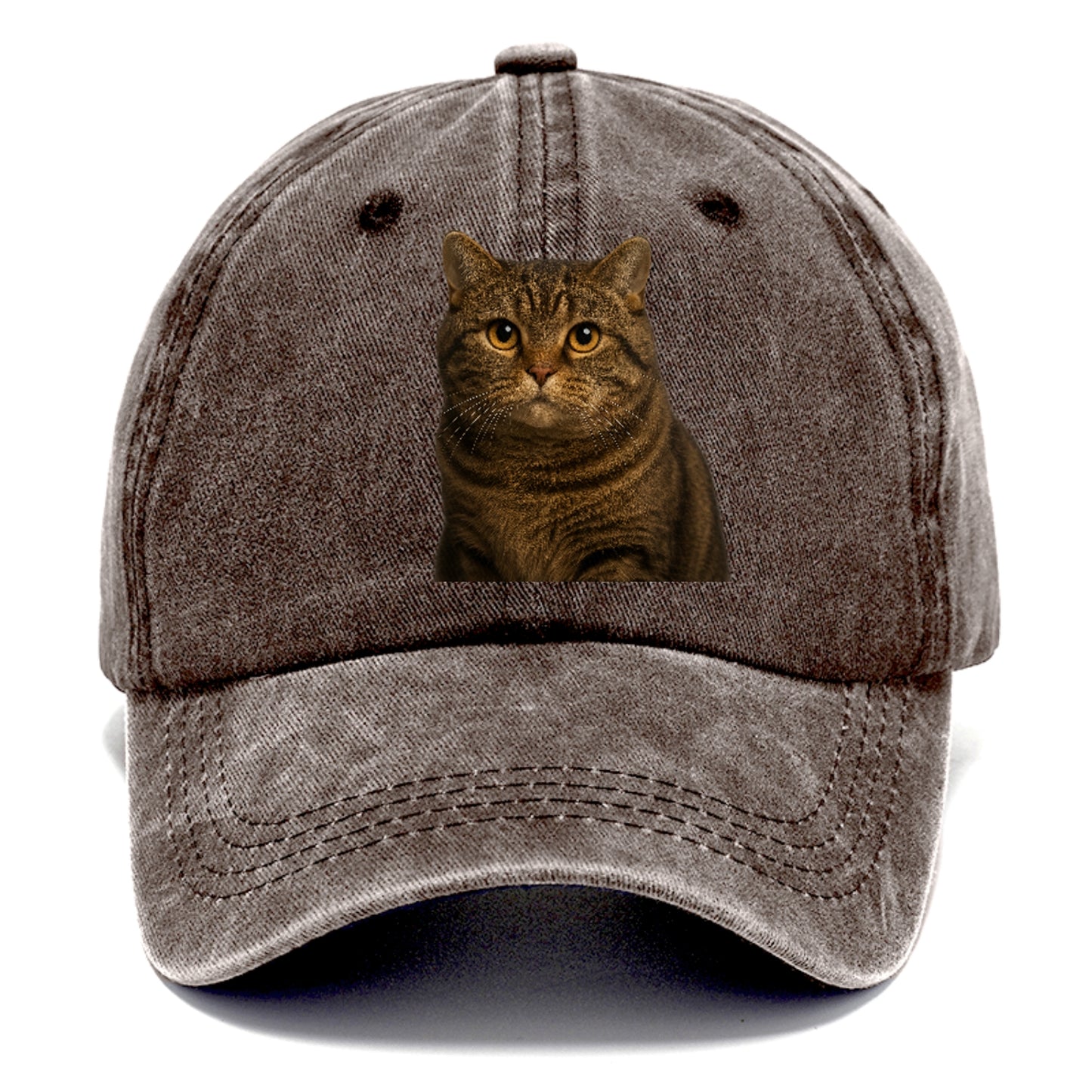 manx-cat-distinct-charm Hat