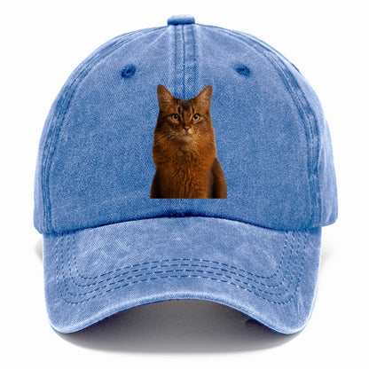 somali-cat-agile-grace Hat