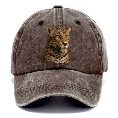 jaguar-stealthy-grace Hat