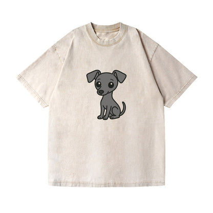 italian greyhound gray sitting pose with thin build portrait design Hat