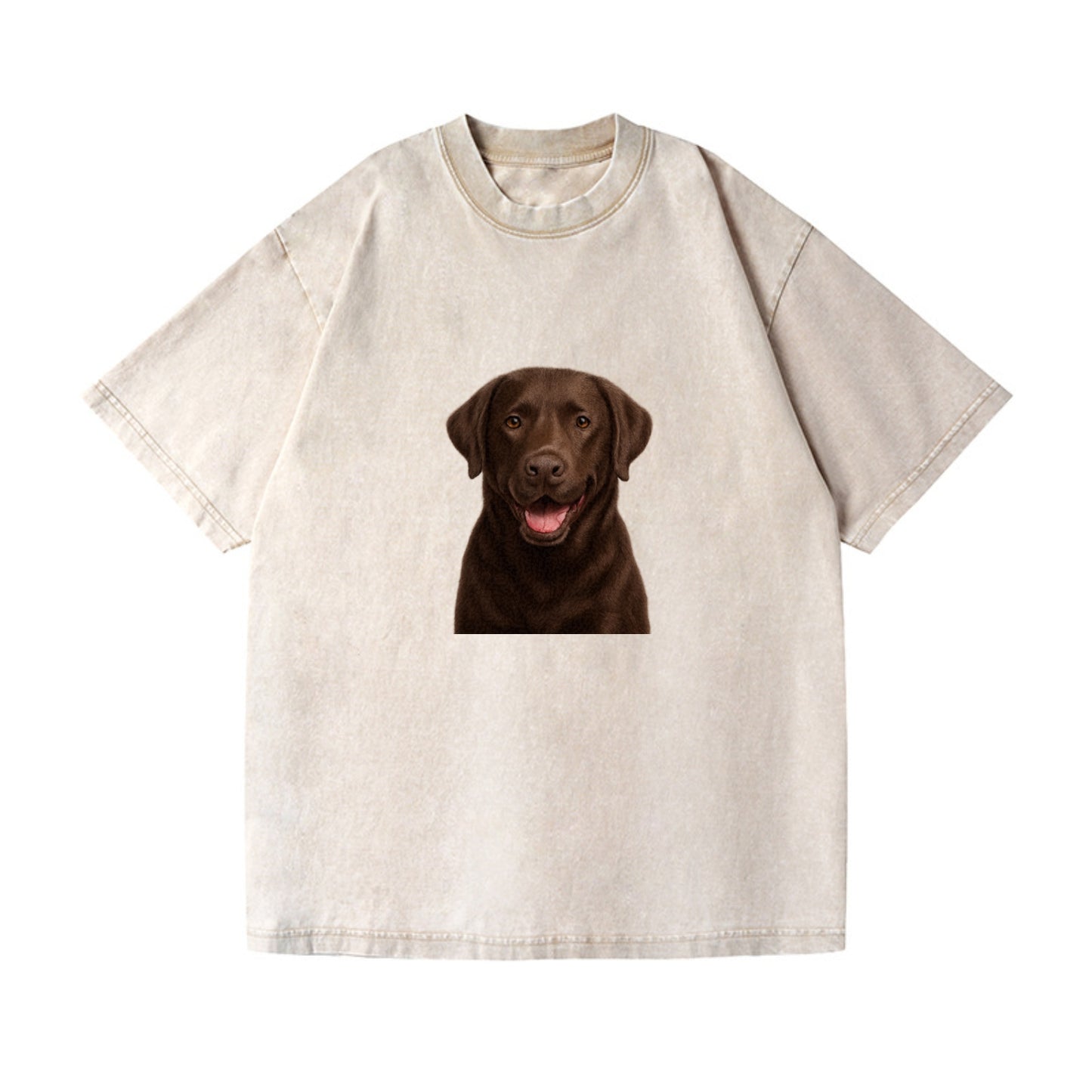 labrador friendly family Hat