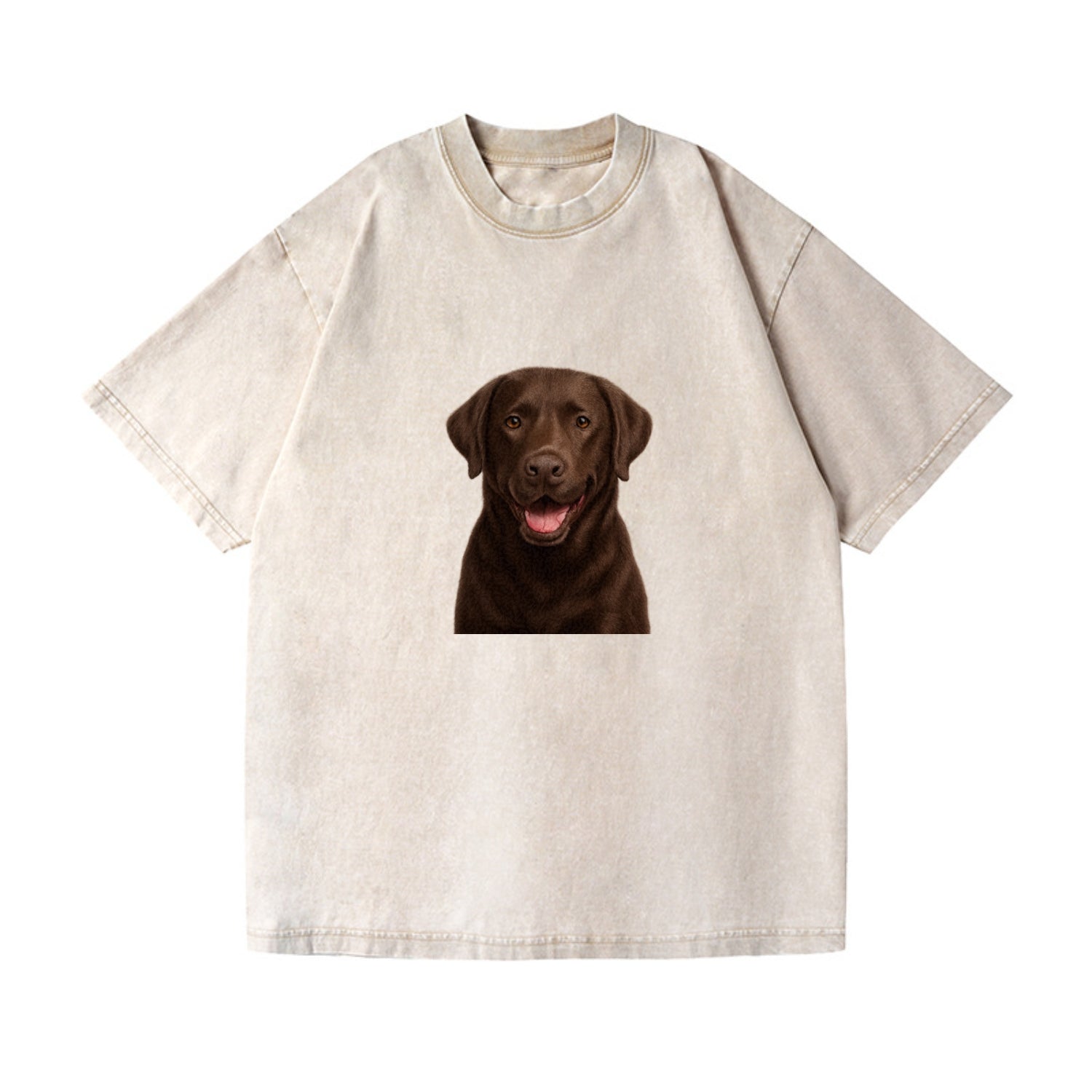 labrador friendly family Hat