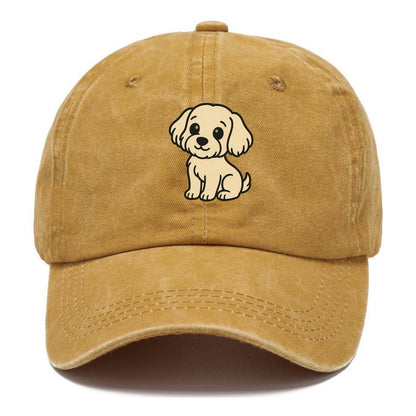 havanese cream colored sitting pose portrait design Hat