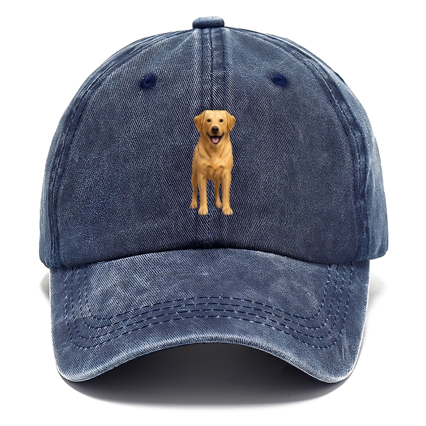 happy golden labrador retriever portrait Hat