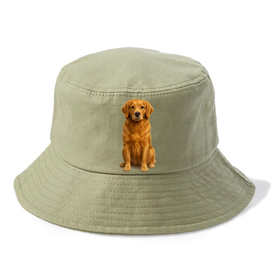 golden retriever portrait on brown background Hat
