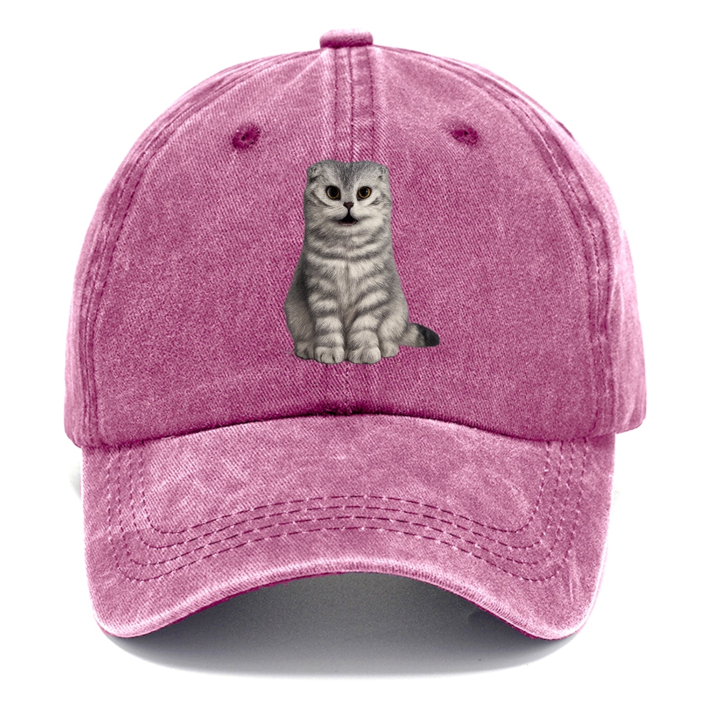 surprised striped cat whimsical portrait Hat