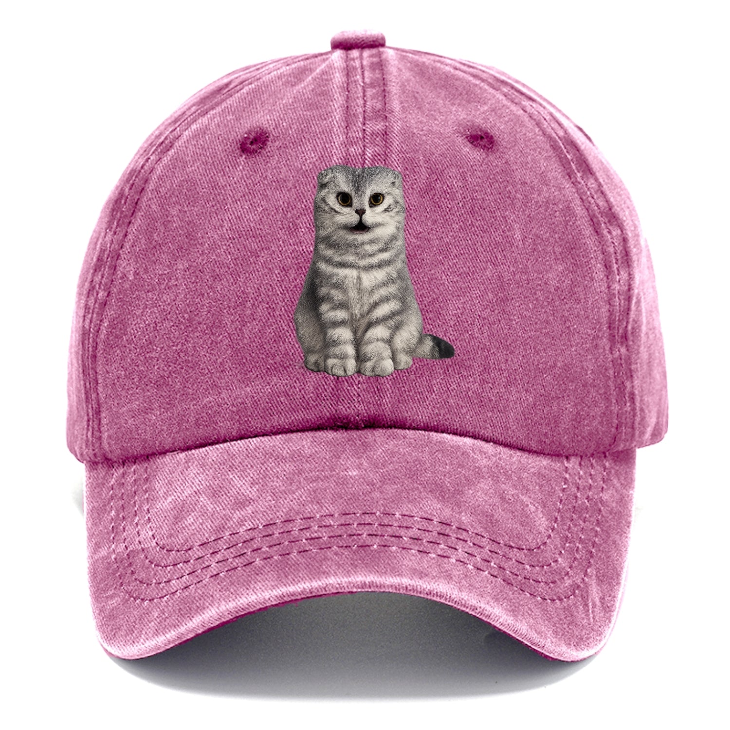 surprised striped cat whimsical portrait Hat