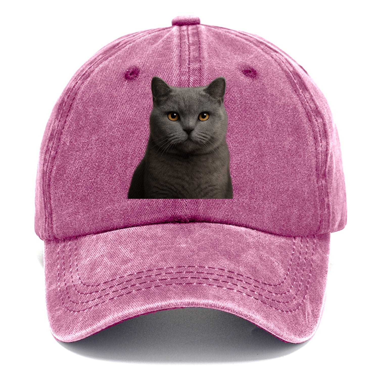 british shorthair dignified charm Hat