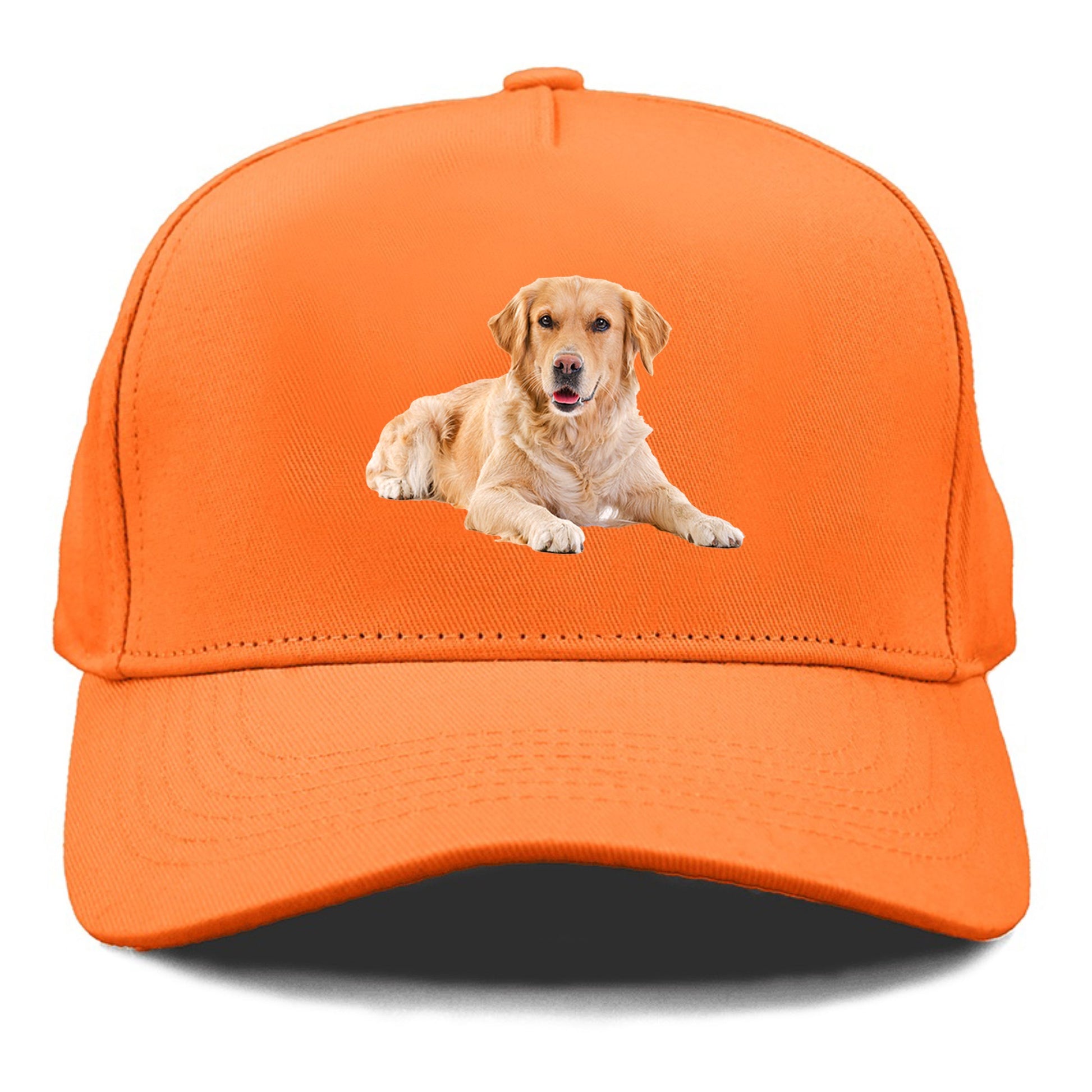 Golden Retriever laying dow Hat