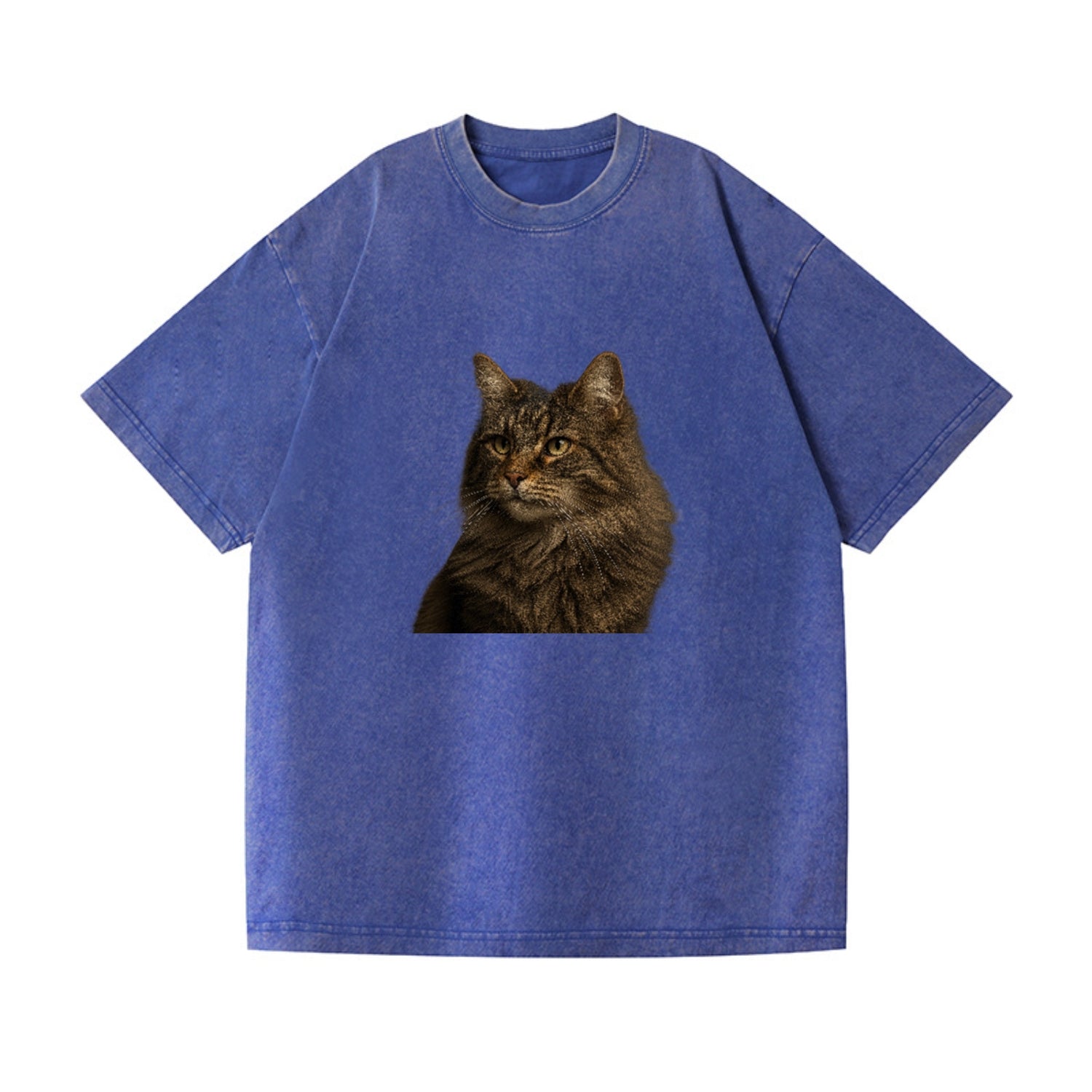 norwegian-forest-cat-wild-majesty Hat