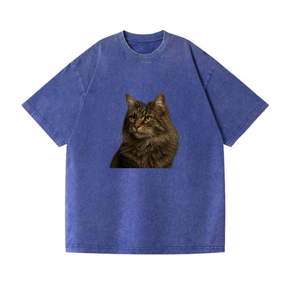 norwegian-forest-cat-wild-majesty Hat