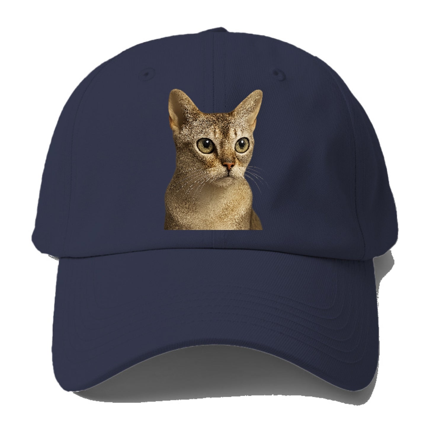 singapura-playful-spirit Hat