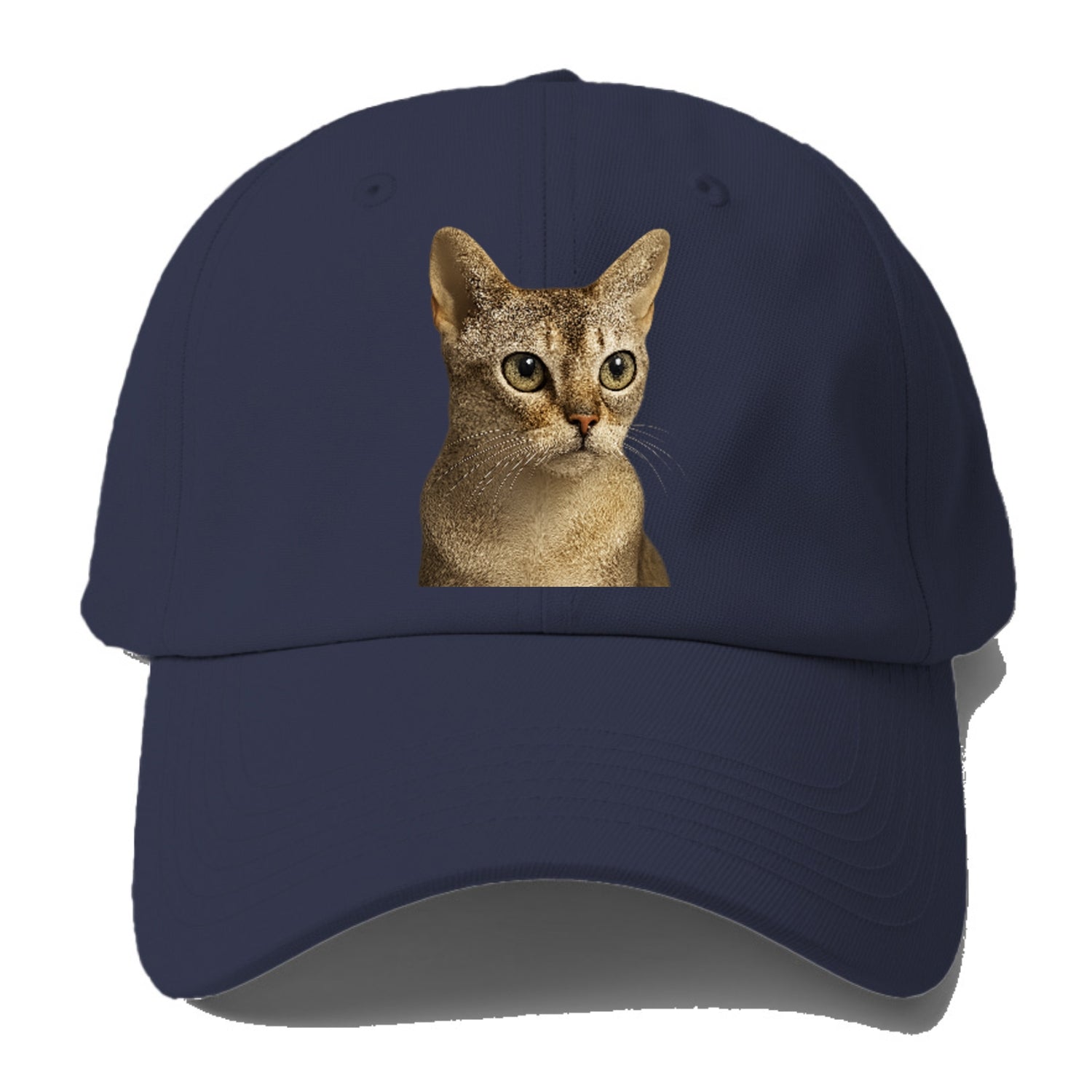 singapura-playful-spirit Hat