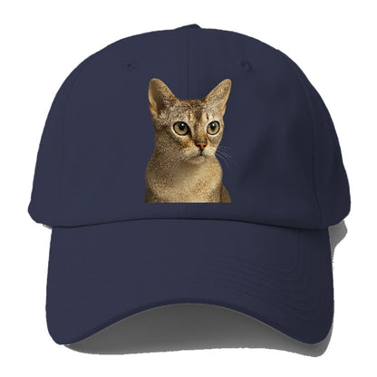 singapura-playful-spirit Hat