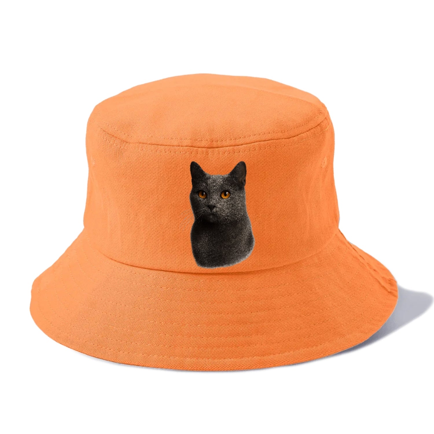 chartreux-gentle-grace Hat